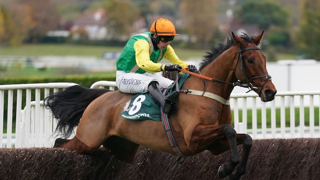 Midnight Shadow landed the Paddy Power Gold Cup at Cheltenham under Ryan Mania. Photograph: David Davies/PA