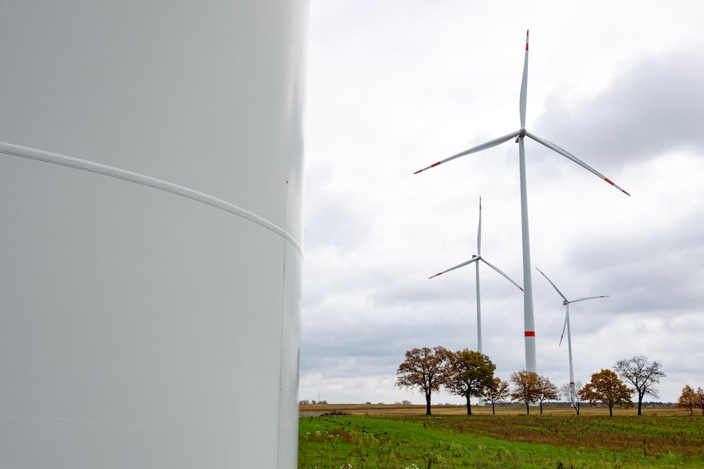 The judge also awarded damages arising from the devaluation of both properties. Photograph: Getty Images