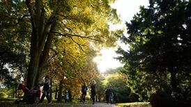 October was driest in five years, Met Éireann figures show