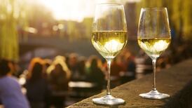 Cheap white wines for summer