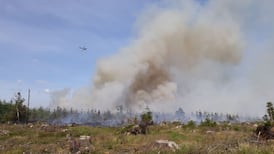 Warnings issued over forest fires in ongoing heatwave