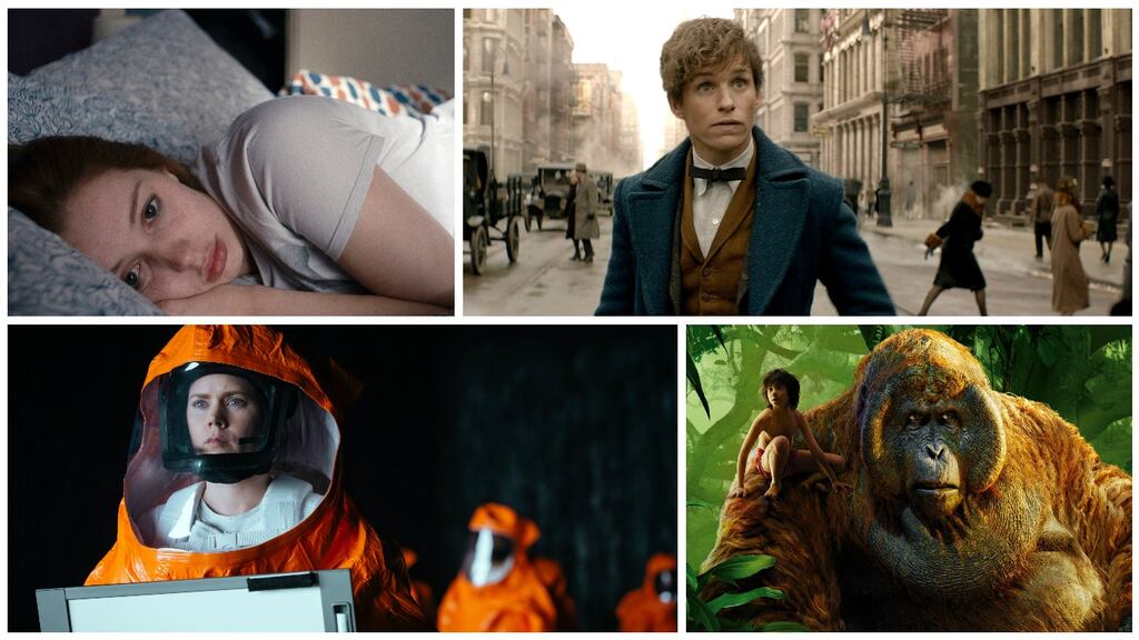 Clockwise from top left: Seána Kerslake in A Date for Mad Mary; Eddie Redmayne in Fantastic Beasts and Where to Find Them; Neel Sethi and King Louie (voiced by Christopher Walken) in The Jungle Book; Amy Adams in Arrival