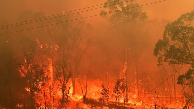 A bushfire burns along the Old Hume Highway near the town of Tahmoor, in New South Wales. Photograph: EPA
