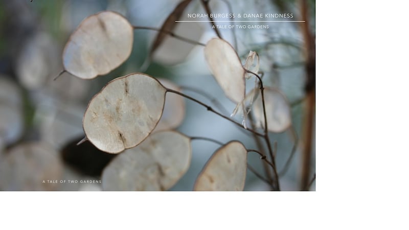 The cover of A Tale of Two Gardens.