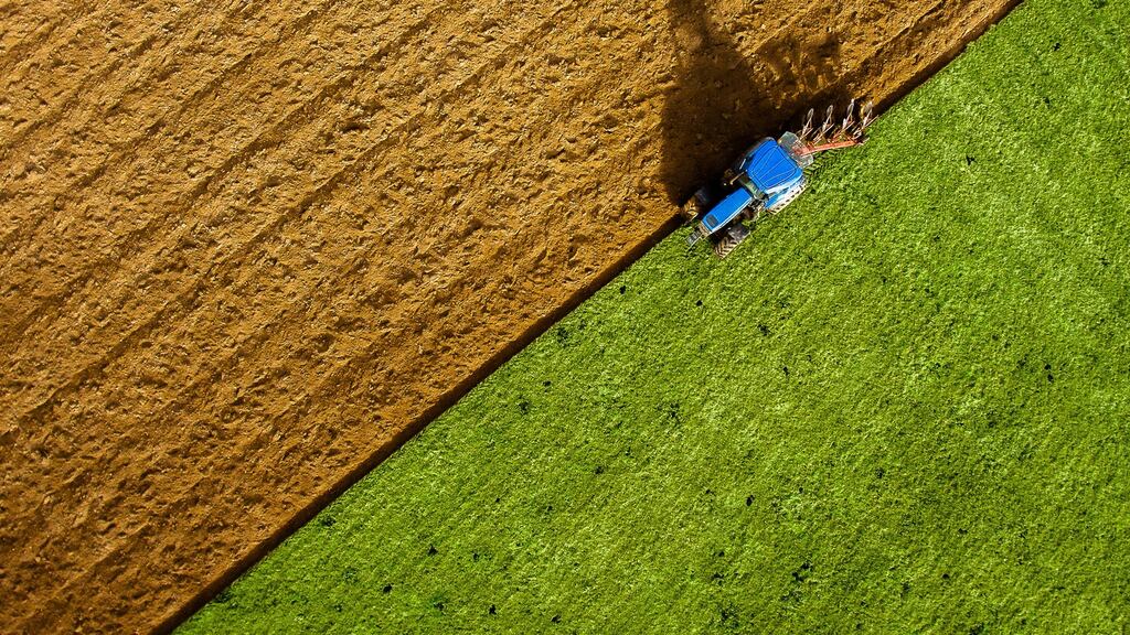 Even if everyone in Ireland went vegan overnight, ‘it wouldn’t change things on the farm’. Photograph: iStock