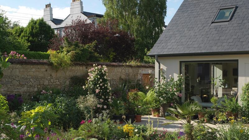 Helen and Val Dillon’s new town garden in Monkstown. Photograph: Richard Johnston