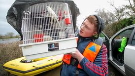 Shannon flooding: ‘We’re very stressed, we’re very worried’