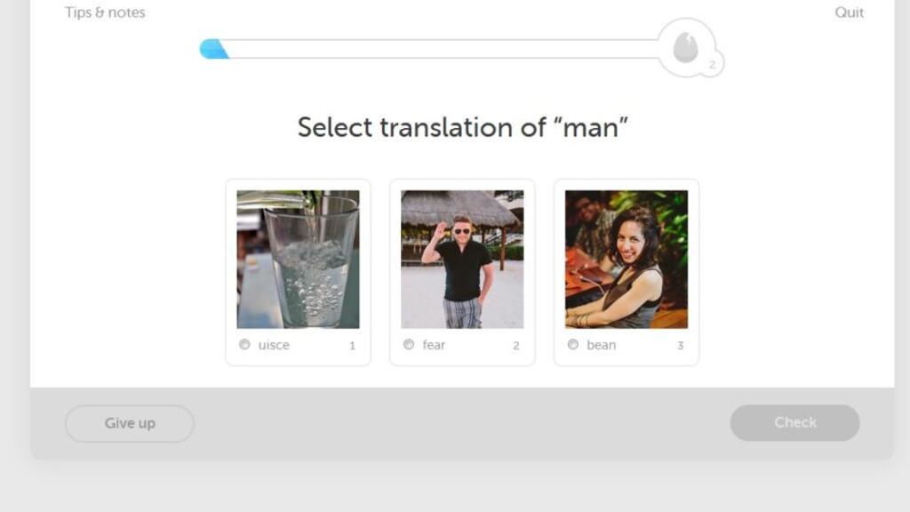 Approximately 64 per cent of the Irish language course users are based in the US, while 9 per cent are in Ireland