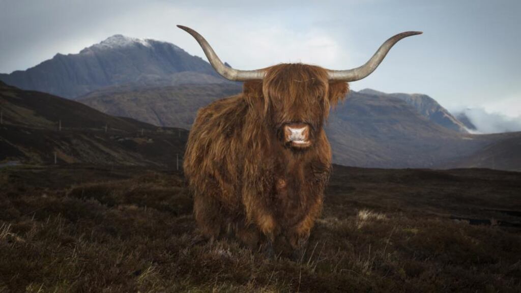 Recruitment of doctors in the Highlands has proven to be a nightmare, even though the posts pay £75,000 a year, plus a  “golden hello” bonus of about £5,000