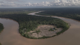 Mercury from gold mining threatens Amazon wildlife