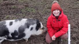 Ireland's only pig shelter struggling under weight of abandoned animals