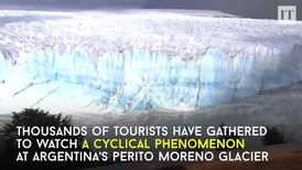 Thousands gather to watch ice break off Perito Moreno glacier