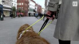How difficult is walking through Dublin city centre if you're blind?