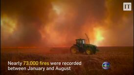 Amazon burning: Brazil reports record surge in forest fires