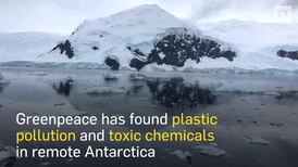 Plastic in Antarctica highlights scale of global pollution - Greenpeace