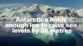 How scientists are using satellites to track rising sea levels