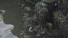 Environmentalists call for stricter legislation to tackle single-use plastics