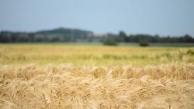 Weather is set to get hotter day by day this week