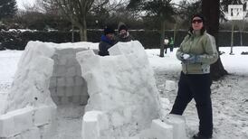 Igloo building in Fairview Park