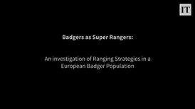 Studies into badger behaviour could help limit the spread of bovine tuberculosis