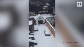 Mischievous teens throw snowballs at guards in Cork