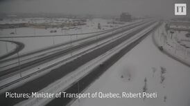 Traffic camera captures stunning shot of rarely seen snowy owl