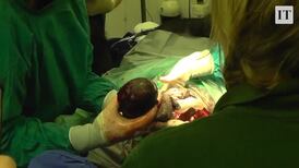 Baby gorilla born at Bristol Zoo after rare C-section