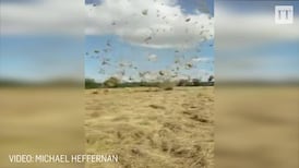 Mini-tornado in Kildare captured on film by farmer bringing in hay