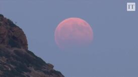 Stunning lunar eclipse seen across four continents