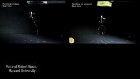 The robot insect that can fly and perch on surfaces