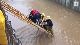 Puppy love: fire fighters rescue dog from LA floods