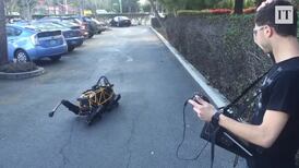 Man's new best friend or barking mad?