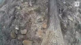 Horn-cam: Real time Rhino tracking