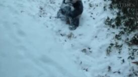 Adorable footage of Panda cub's first time playing in snow