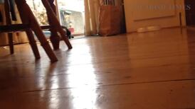 Cat lovers we need your help: talk to us about fur