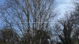 Our Test Drive: the Bentley Conti GT V8