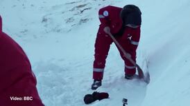 Attenborough camera crew intervene to save penguins