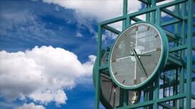 'Corpse flower': timelapse captures rare bloom