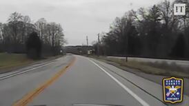 Dasher: wild deer escapes unhurt from police car collision