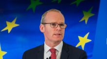 Election 2020: Simon Coveney (Fine Gael)