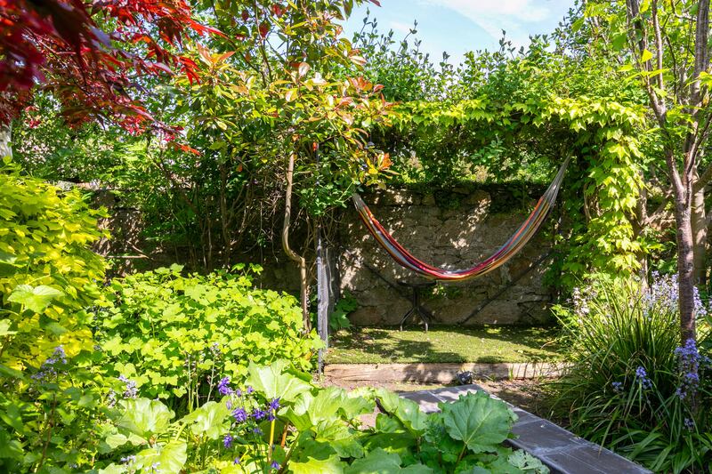 Hammock in garden