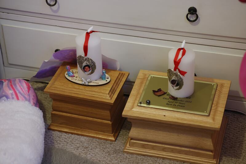 Ashes of Shauna Flanagan-Garwe and Robert Garwe. Photograph: Bryan O’Brien