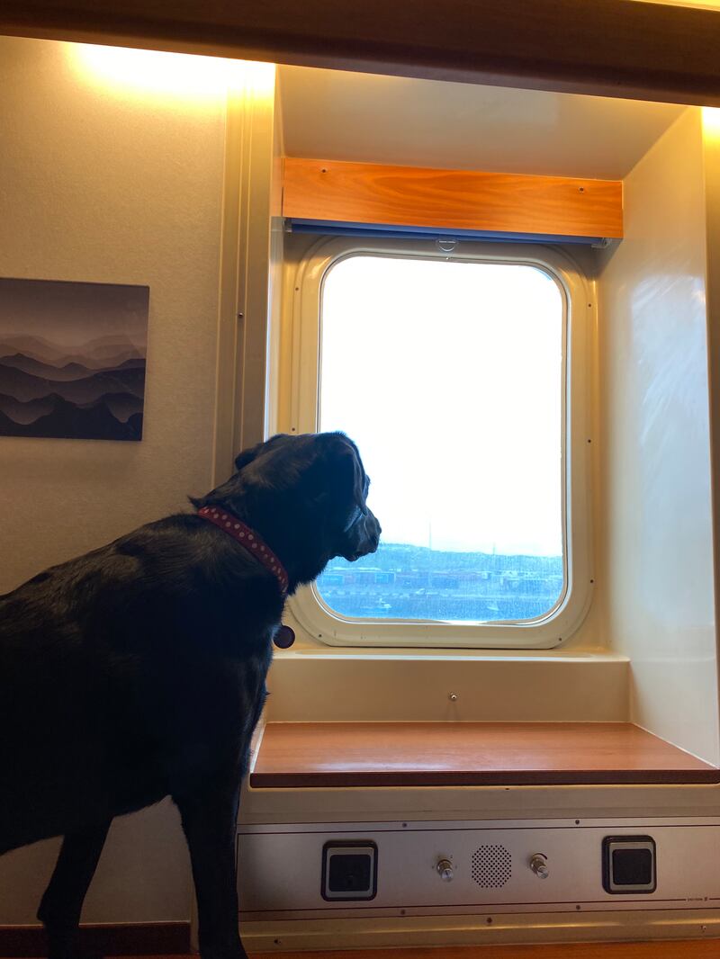Luna on board the Stena Vision ferry. Photograph: Fionn Davenport