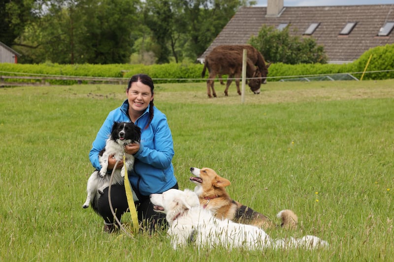 Siobhan Owens, owner of Dublin and Meath Pet School. Photograph: Alan Betson/The Irish Times

