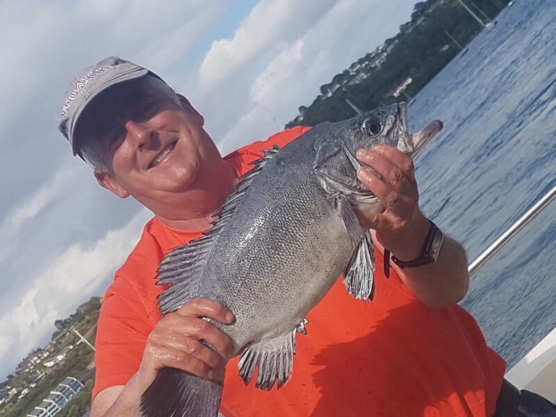 A stone basse of 6lb 5oz for Howth angler Joe McPeake. He caught it while fishing for shark 18 miles out from Cork.