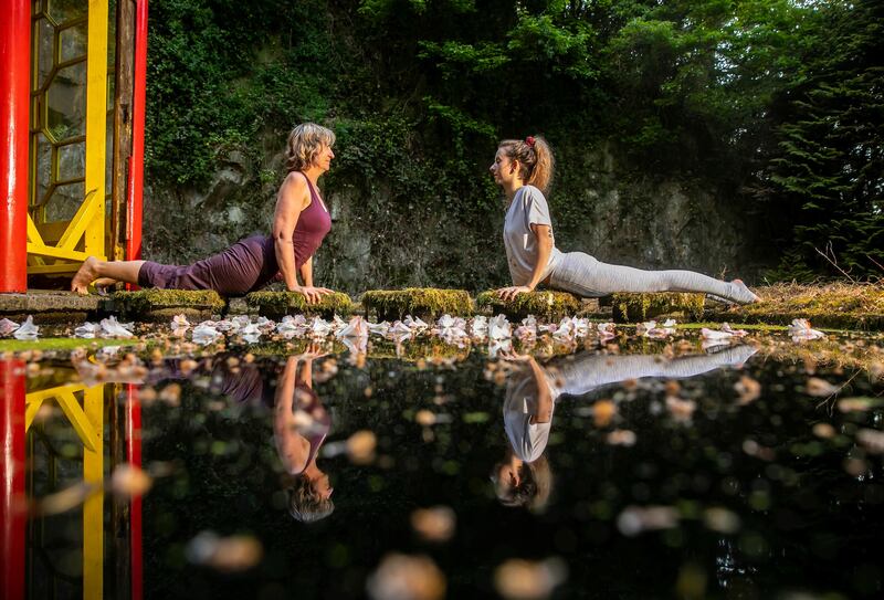 Mount Congreve Nature & Nurture Restival in Waterford