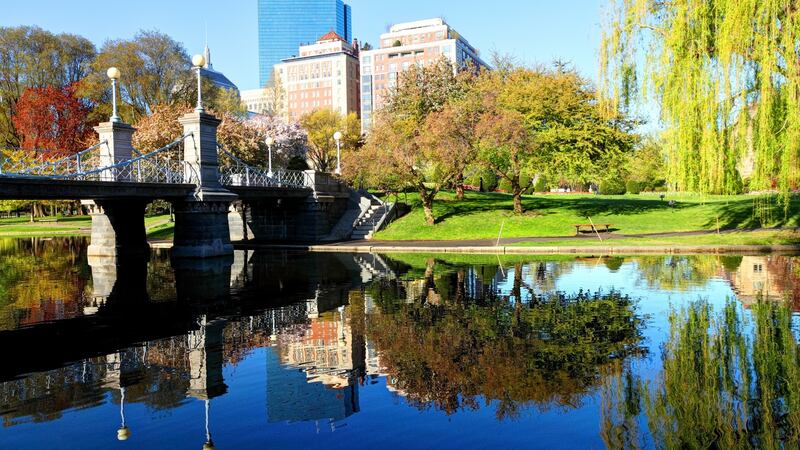 Boston’s Back Bay skyline reflecting on a small pond in the Boston Public Garden. Photograph: Getty Images