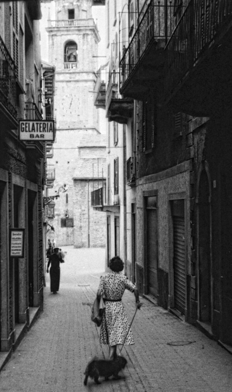 The woman walks the dog on a cobblestone street