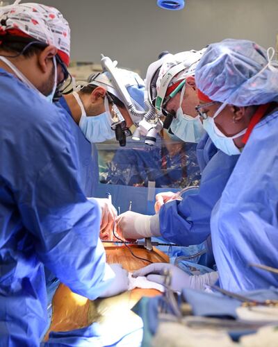The University of Maryland Medical Centre of surgeons performing surgery on a pig as medics in the US made history last week when they transplanted a pig heart into a human patient with terminal heart disease. Photograph: University of Maryland Medical Centre/PA Wire