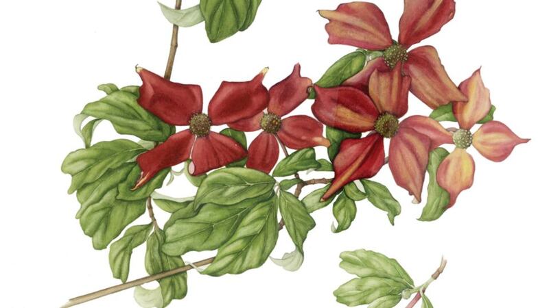 Painting by artist Lynn Stringer.